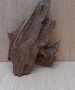 Driftwood - Small 5