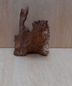 Driftwood - Small 11