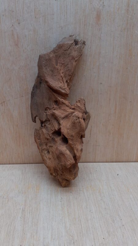 Driftwood - Medium 6