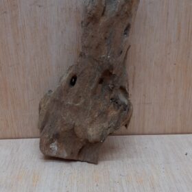 Driftwood - Small 13