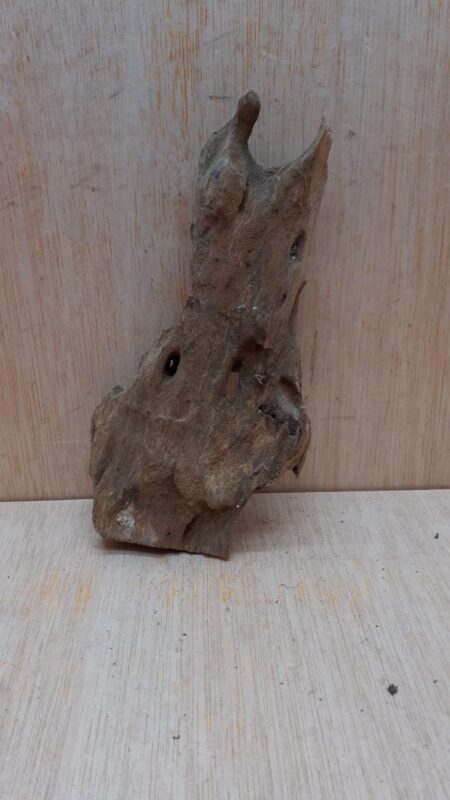 Driftwood - Small 13