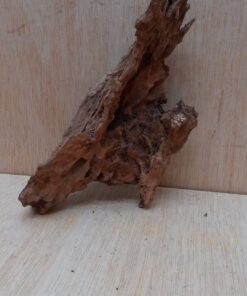 Driftwood - Small 17