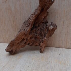 Driftwood - Small 17