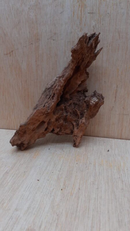Driftwood - Small 17