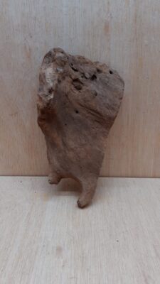 Driftwood - Small 8