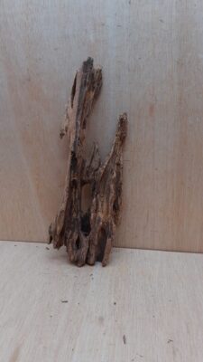 Driftwood - Large 14