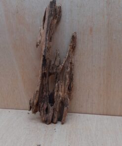 Driftwood - Large 14
