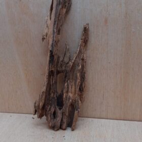Driftwood - Large 14