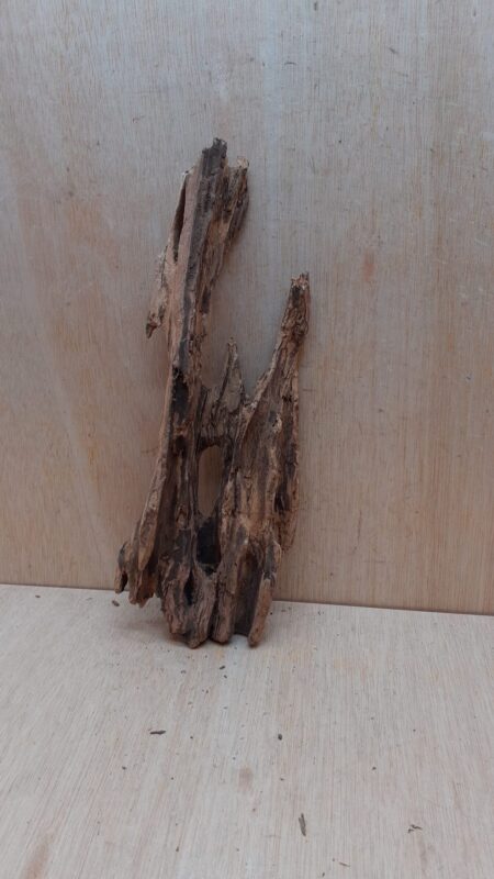 Driftwood - Large 14
