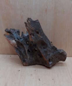 Driftwood - Large 17