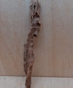 Driftwood - Large 18
