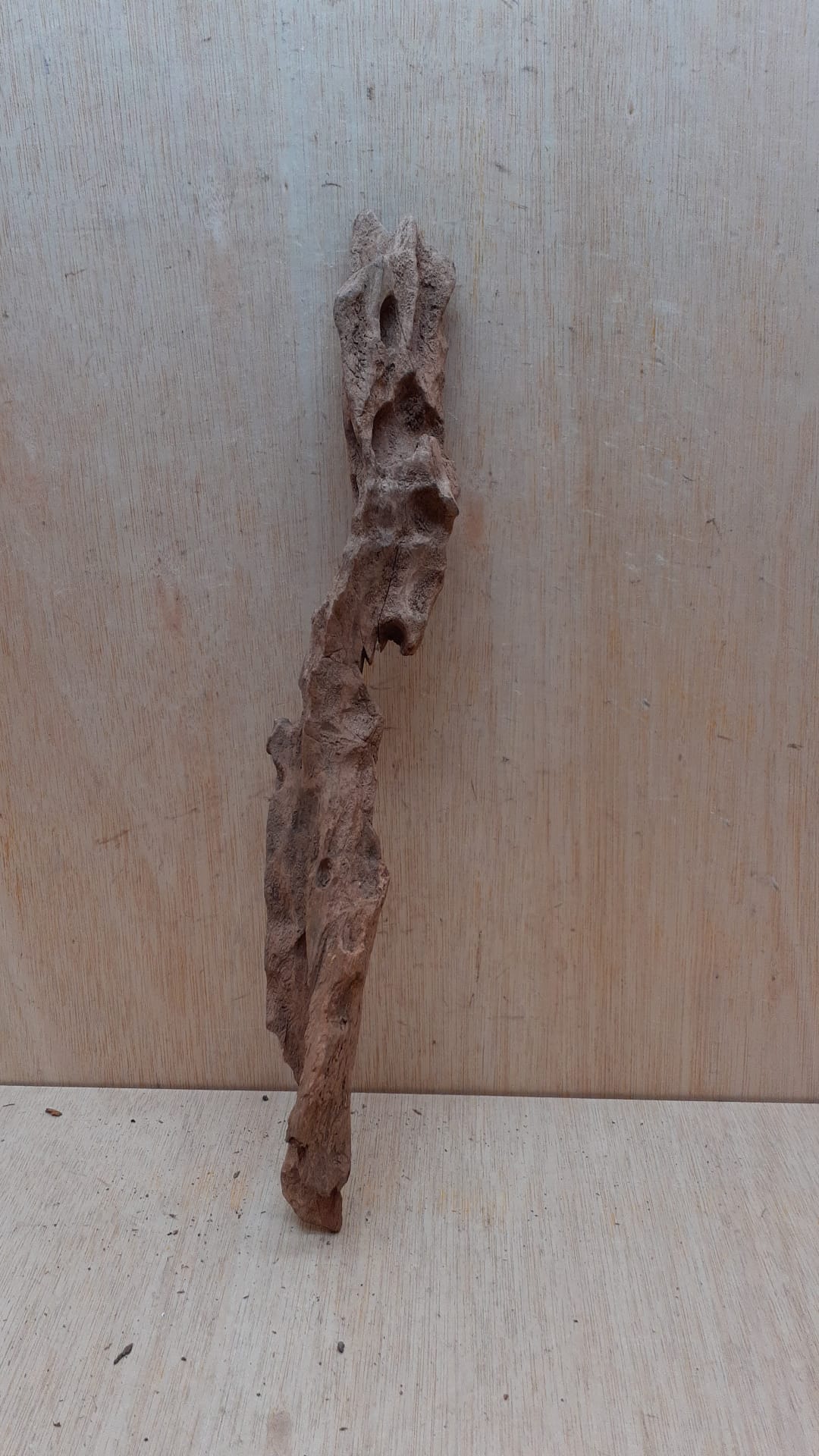 Driftwood - Large 18