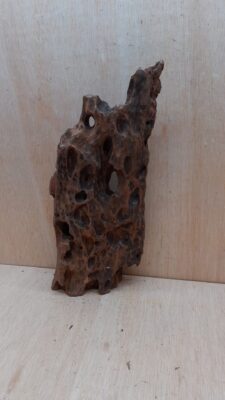 Driftwood - Large 20