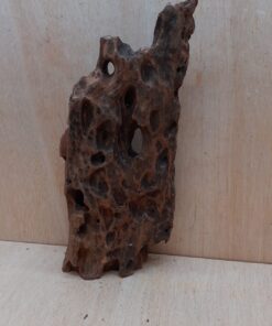 Driftwood - Large 20