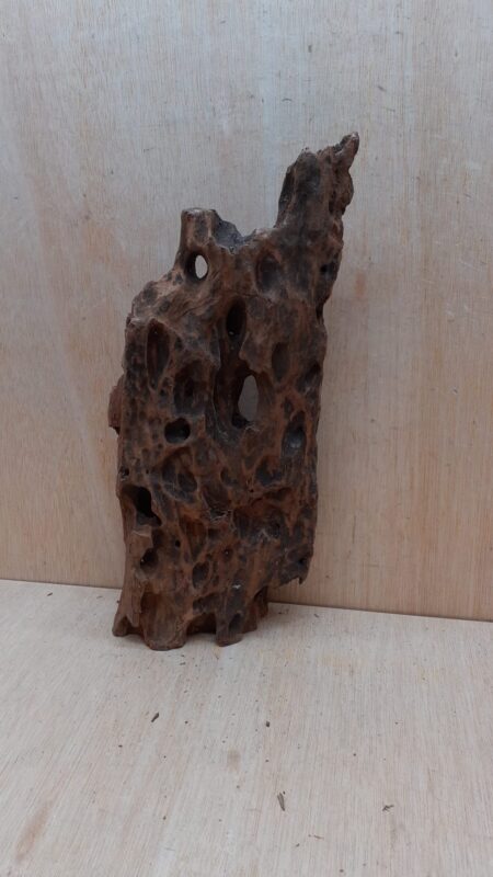 Driftwood - Large 20