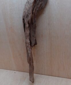 Driftwood - XL 7