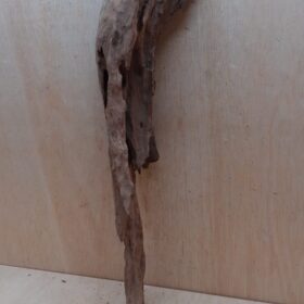 Driftwood - XL 7