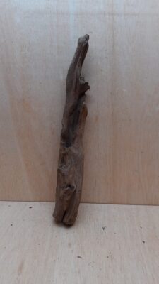 Driftwood - XL 13