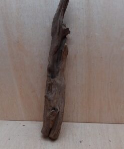 Driftwood - XL 13