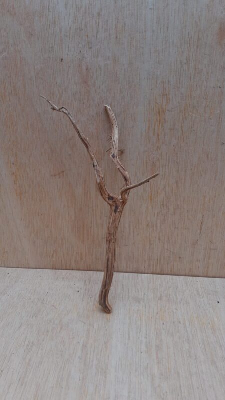 Moorwood - Small 3
