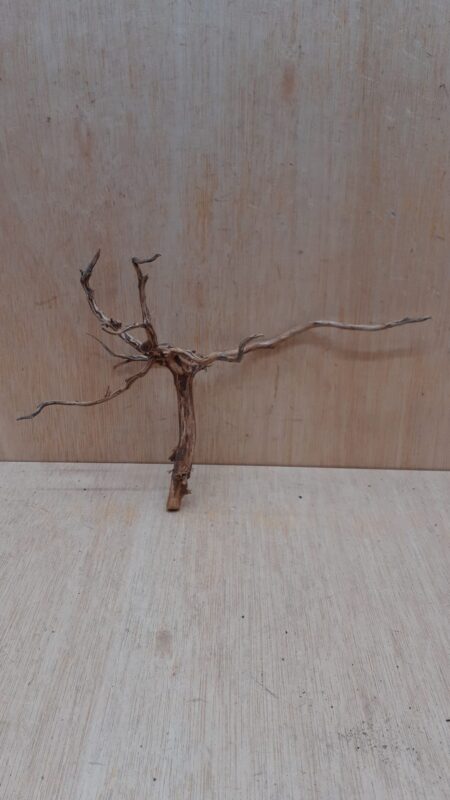 Moorwood - Small 4