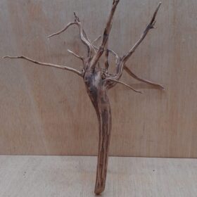 Moorwood - Medium 4
