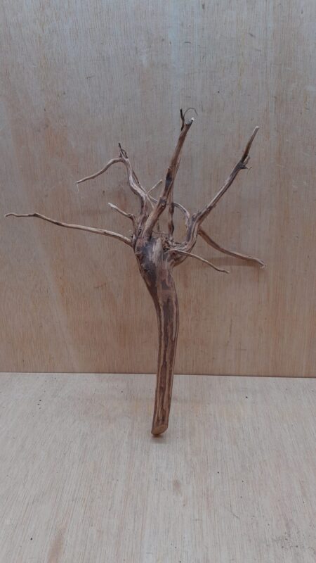 Moorwood - Medium 4