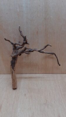 Moorwood - Medium 5