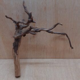 Moorwood - Medium 5