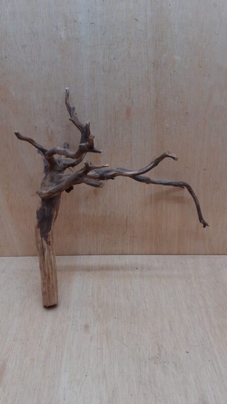 Moorwood - Medium 5
