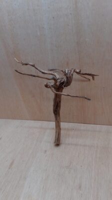 Moorwood - Medium 8