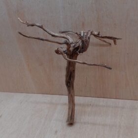 Moorwood - Medium 8