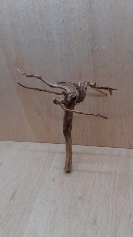Moorwood - Medium 8