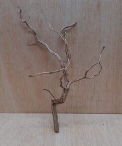 Moorwood - Medium 10