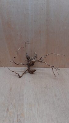 Moorwood - Large 3