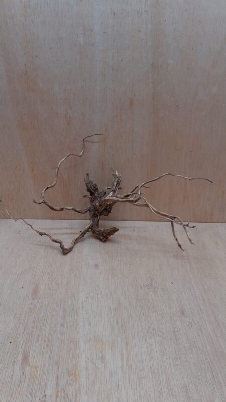 Moorwood - Large 3