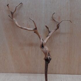 Moorwood - Large 6