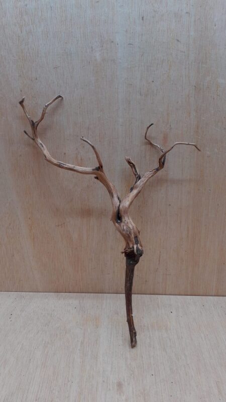 Moorwood - Large 6