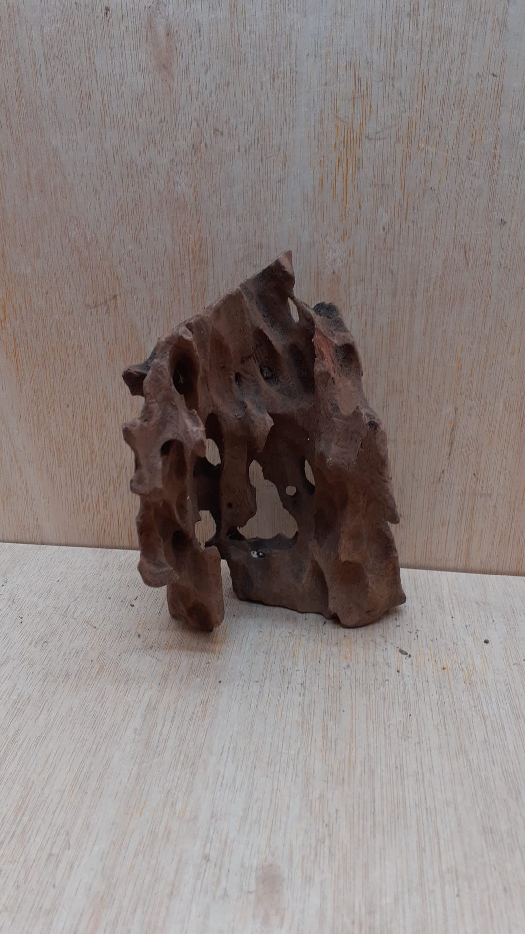 Driftwood - Small 3