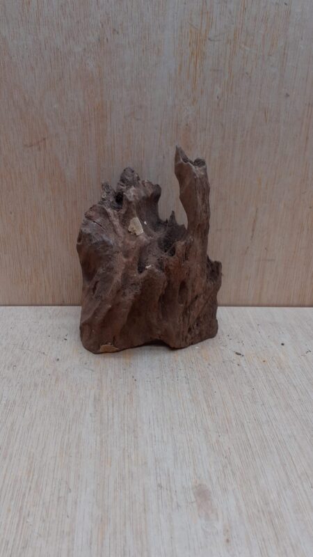 Driftwood - Small 5