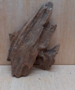 Driftwood - Small 11