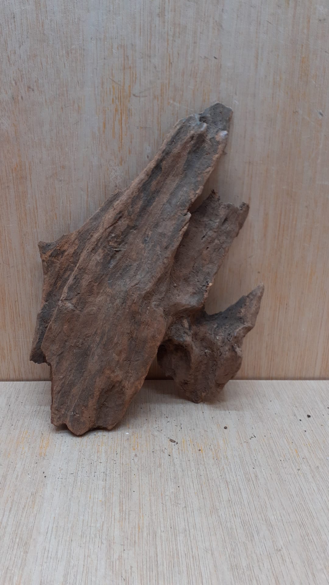 Driftwood - Small 11
