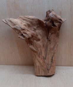 Driftwood - Medium 3