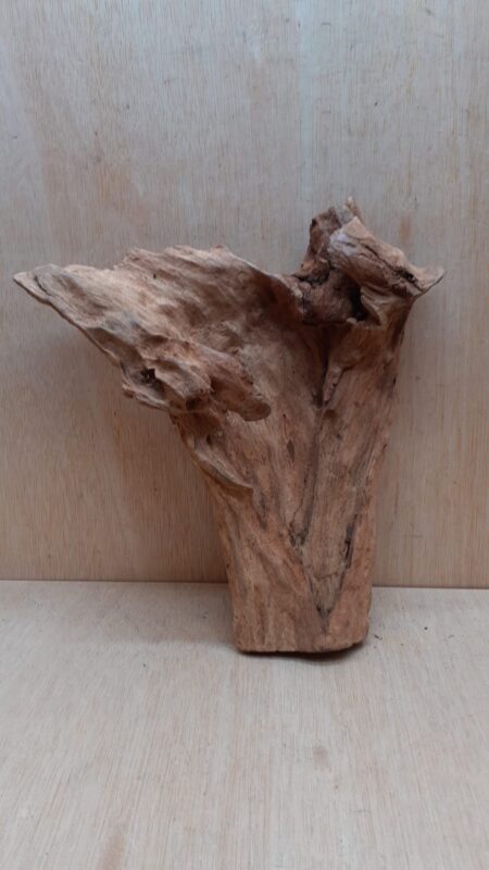Driftwood - Medium 3