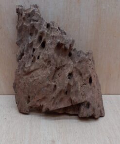 Driftwood - Large 5