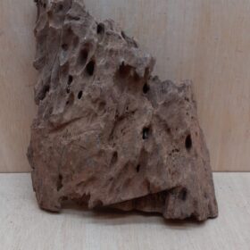 Driftwood - Large 5