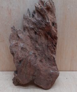Driftwood - Medium 10
