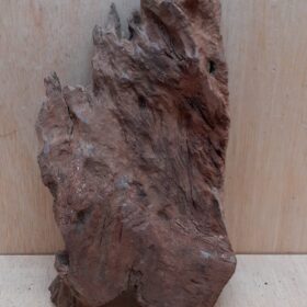 Driftwood - Medium 10