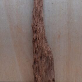 Driftwood - XL 8