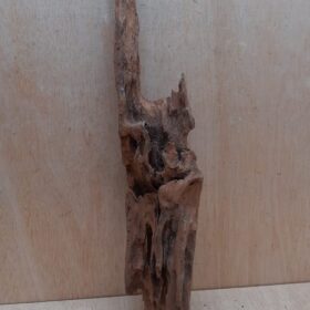 Driftwood - XL 11